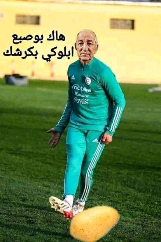 تزويد السوق بـ 15 ألف طن من مخزون البطاطا  لتموين السوق وضبط الأسعار